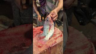 Astonishing Perfect Size Tilapia Fish Cutting Skills In Bangladesh 🫢😱 shorts [upl. by Niattirb]