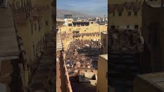 Tannery in Fez Morrocco [upl. by Inan464]