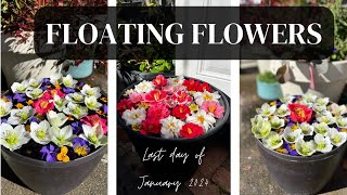 Floating Flower Arrangements [upl. by Australia719]