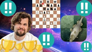 Magnus Carlsen vs Stockfish chess game 202 [upl. by Anette]