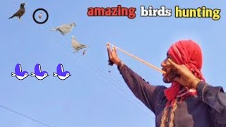 amazing birds hunting video with slingshot ever [upl. by Falda]