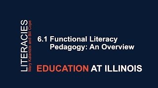 61 Functional Literacy Pedagogy An Overview [upl. by Nnaylime734]