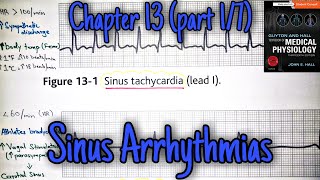 Sinus tachycardia and bradycardia  chapter 13 part 17  Guyton and Hall text book of physiology [upl. by Melborn]