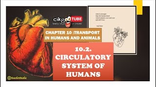 BIOLOGY KSSM FORM 4 102 CIRCULATORY SYSTEM OF HUMANS [upl. by Emmery]