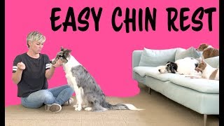 EASY Chin Rest  Dog Training by Kikopup [upl. by Olyhs]