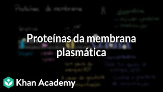 LIPÍDIOS  COMPOSTOS ORGÂNICOS  BIOQUÍMICA  Biologia com Samuel Cunha [upl. by Hsirrehc]