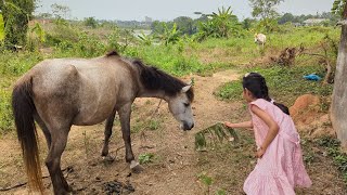 Eid day vlog My Family Vlog Video  Viral Vlog Video  Bangladeshi Vlog [upl. by Ymmit848]