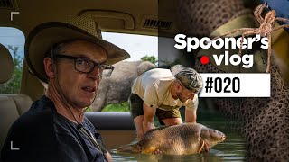 We Travel the World for The Monster Carp Special  Spooners Vlog 20 [upl. by Melentha942]