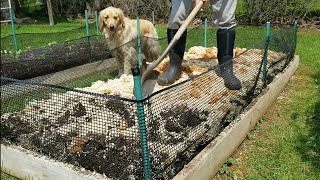 GARDENING WITH MUSHROOMS Winecap Herb Garden [upl. by Tacklind348]