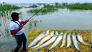 Fishing videos  Wallago Attu catfish catching  Big murral fish hunting  Fishing [upl. by Keriann227]