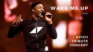 WAKE ME UP LIVE feat Aloe Blacc  Avicii Tribute Concert In Loving Memory of Tim Bergling 2019 [upl. by Pasahow29]