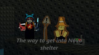 How to get into Nova Shelter in Sols RNG [upl. by Wei]