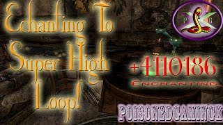 NEWFortify Enchanting potion 4110186 After 19 patch  Skyrim [upl. by Ennelram]