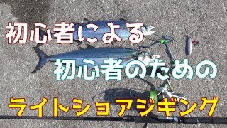 【堤防から大物！】ライトショアジギングのやり方をLSJ歴1年の初心者が解説する。 [upl. by Eca]