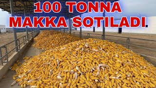 100 TONNA MAKKA SOTILADI 998884610505 [upl. by Kissiah303]