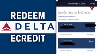 How to Use Delta eCredit Redeem amp Book [upl. by Tucky95]