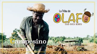 Campesino  La Tribu de Olafo [upl. by Narol19]