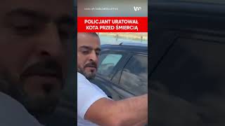 Policjant uratował kota Dramatyczne nagranie z Dubaju [upl. by Yalc712]