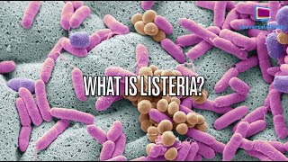 Listeria Danger Are You at Risk 🤢 [upl. by Peoples]