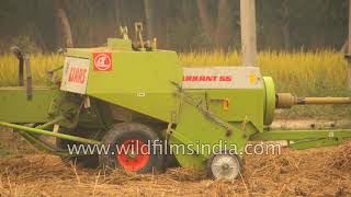 Claas Markant 55  a conventional baler used to raked crops [upl. by Solrac]