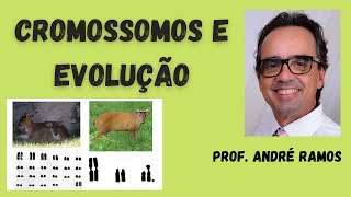 Os Cromossomos e a Evolução das Espécies [upl. by Cosimo]