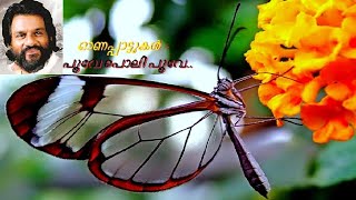 Poove Poli Poove പൂവേപൊലിപൂവേ പറനിറയെ Video Song Yesudas Sujatha onam Arts amp Flowers ARUNTN [upl. by Aneeras]