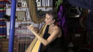 Beethovens quotFür Elisequot  Arranged for Harp by Deborah HensonConant [upl. by Oek]