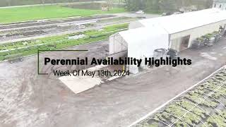 Perennial Availability Highlights Week of 513 [upl. by Galven]