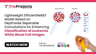 Lightweight EfficientNetB3 Model Based on Depthwise Separable Convolutions for Enhancing Classificat [upl. by Onitnatsnoc]