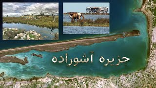 The only citizen of Ashuradeh Island  تنها شهروند جزیره آشوراده [upl. by Erdah]