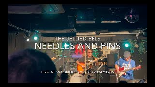 Needles And Pinsquot The Searchers cover by The Jellied Eels [upl. by Vandyke862]