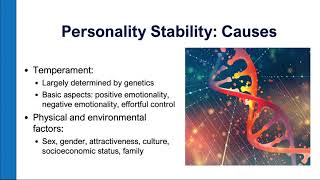 Personality Stability [upl. by Ikila]