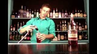 DIVE BARTENDING Sloe Gin Fizz Drink Recipe [upl. by Thia]