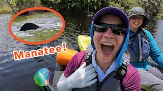 Unexpectedly Kayaking with Manatees at Econfina River Florida State Park [upl. by Helman]