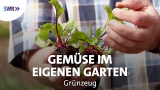 Gesundes Gemüse  saftig und lecker  SWR Grünzeug [upl. by Boudreaux297]