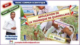 Ecologie Vidéo 2 Méthode statistique  Technique de quadrillage [upl. by Yendor]