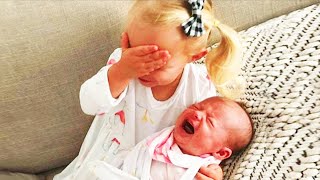 Legendary Moments When Kids Meet Newborn Babies  Funny Baby Siblings [upl. by Ahsehat]