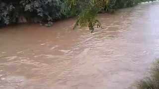 Oued Mekerra SBA en crue [upl. by Chrisman]