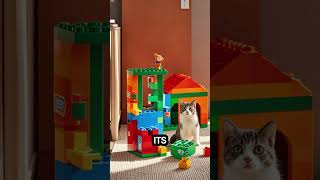 Lego Customizable Pet Homes [upl. by Ling]