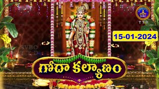 Sri Goda Kalyanam  TTD Administrative Buildings  Tirupathi  15012024  SVBCTTD [upl. by Remos621]