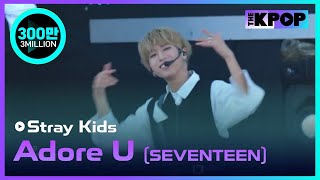 Stray Kids Adore USEVENTEEN Jeju hallyu Festival 2018 [upl. by Zantos871]