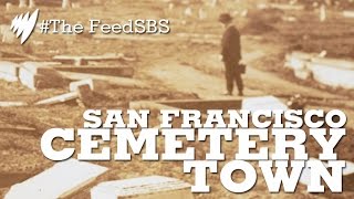 Colma San Franciscos Cemetery Town I The Feed [upl. by Eyar280]