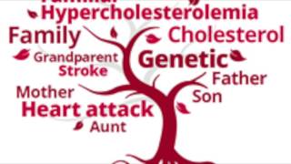 Familial Hypercholesterolemia [upl. by Pouncey]