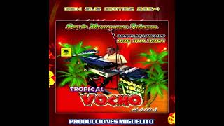 Mix Tropical Vochomania 2024 [upl. by Acnaib247]