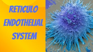 RETICULOENDOTHELIAL SYSTEM [upl. by Ynoyrb]