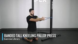 Banded Tall Kneeling Pallof Press  OPEX Exercise Library [upl. by Aneri]