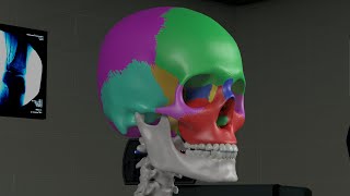 Chapter 1 Basic Sinus Anatomy [upl. by Skipton]