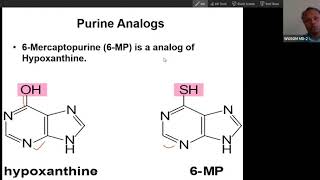 Inhibitors antimetabolites of Purine synthetic Pathway USMLE Step1 [upl. by Aip142]