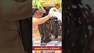 அழகர் மலையில் அழகருக்கு தைலக்காப்பு2024 gopuravasallive alagarkovil madurai meenakshi perumal [upl. by Ahgiela544]