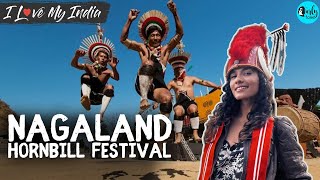 Nagaland Hornbill Festival  The Land Of Festivals  I Love My India Ep 64  Curly Tales [upl. by Ellenehs]